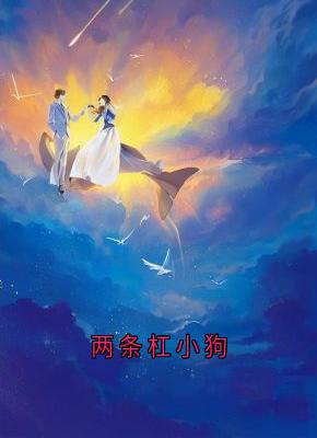 两条杠小狗（全本）温岁沈域完整章节列表免费阅读
