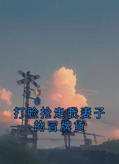 精选好书《打脸抢走我妻子的冒牌货》无删减版全文在线
