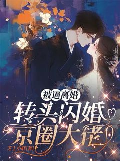 抖音小说《被逼离婚，转头闪婚京圈大佬》主角沈南栀秦经纬全文小说免费阅读

