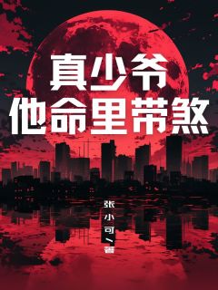 沈轩沈莲江风全本章节在线阅读大结局
