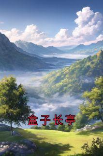 盒子长亭小说(完结版)-沈折星苏禾在线阅读
