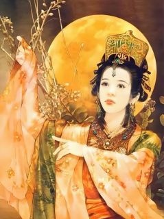 屠户何皇后：我在东汉杀疯了免费阅读全文，主角屠户董卓曹操小说