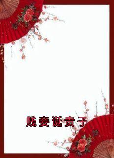 贱妾诞贵子