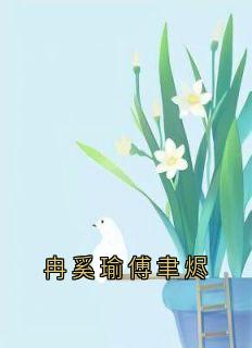 冉奚瑜傅聿烬
