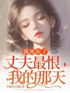 免费试读主角陆帆沈曦小说

