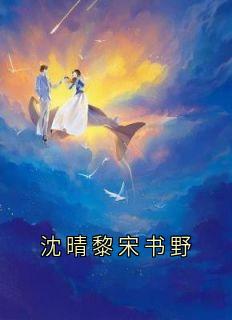 沈晴黎宋书野