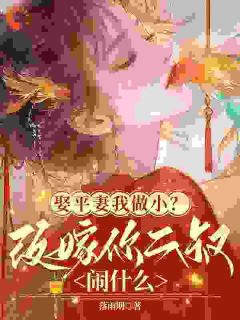 你娶平妻我和离，我显赫了你别急