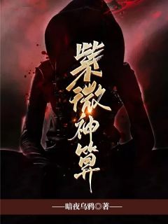 免费试读主角苏幼微刘十五小说
