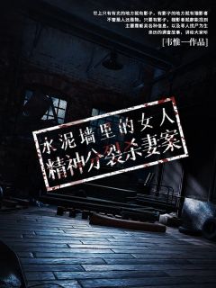 水泥墙里的女人：精神分裂杀妻案免费阅读全文，主角周文斌李琛小说完整版
