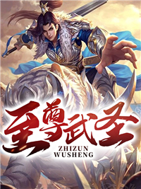 《至尊武圣》快手热推林萧林风震免费阅读
