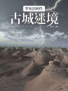 无弹窗小说罗布泊密档：古城迷境 作者微尘
